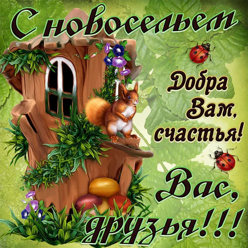 Открытка С новосельем - Открытка: лес, белка, цветы, ягоды | Красивая открытка #8