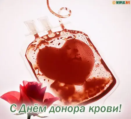 Открытка Всемирный день донора крови - Открытка с днем донора крови: красный пакет, роза | Красивая открытка #16