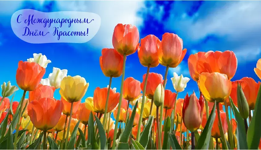 Открытка С международным Днём красоты - Поле тюльпанов: яркие цветы на фоне голубого неба | Красивая открытка #29