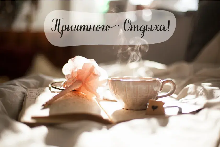 Открытка Отдых - Открытка: Книга, чашка, роза, свет | Красивая открытка #3