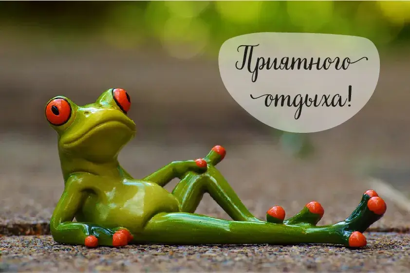 Открытка Отдых - Лягушка на открытке: забавная новогодняя открытка | Красивая открытка #25