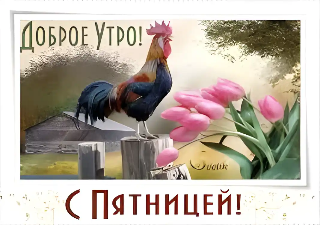 Открытка Открытки на пятницу - Открытка с петухом и тюльпанами  С Праздником! | Красивая открытка #230