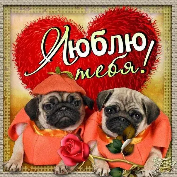 Открытка Я люблю тебя - Открытка с щенками и розами: День святого Валентина | Красивая открытка #17