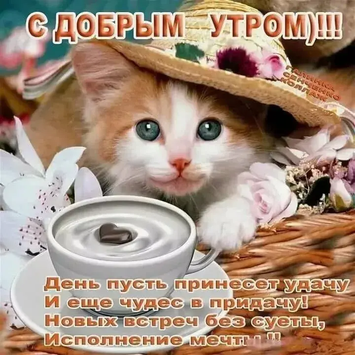Открытка открытки с добрым утром - День приносит удачу! | Красивая открытка #298