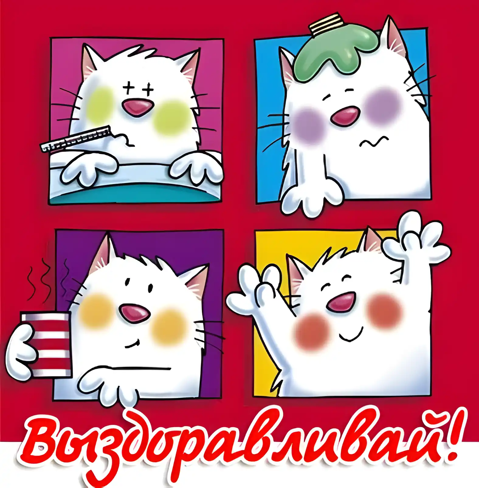 Открытка Выздоравливай - Открытка с котом: заболел, выздоравливай! | Красивая открытка #33