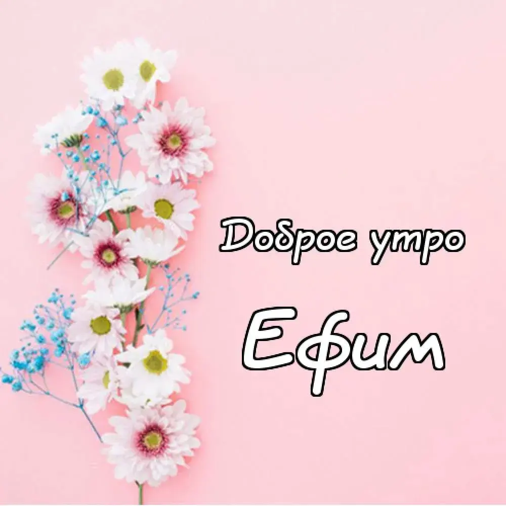 Открытка открытки с именем Ефим - Открытка с цветами: нежные белые ромашки на голубом фоне | Красивая открытка #73
