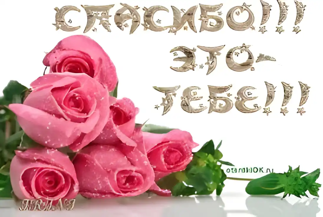 Открытка Для тебя - Розовые розы в блестках: открытка с цветами | Красивая открытка #160