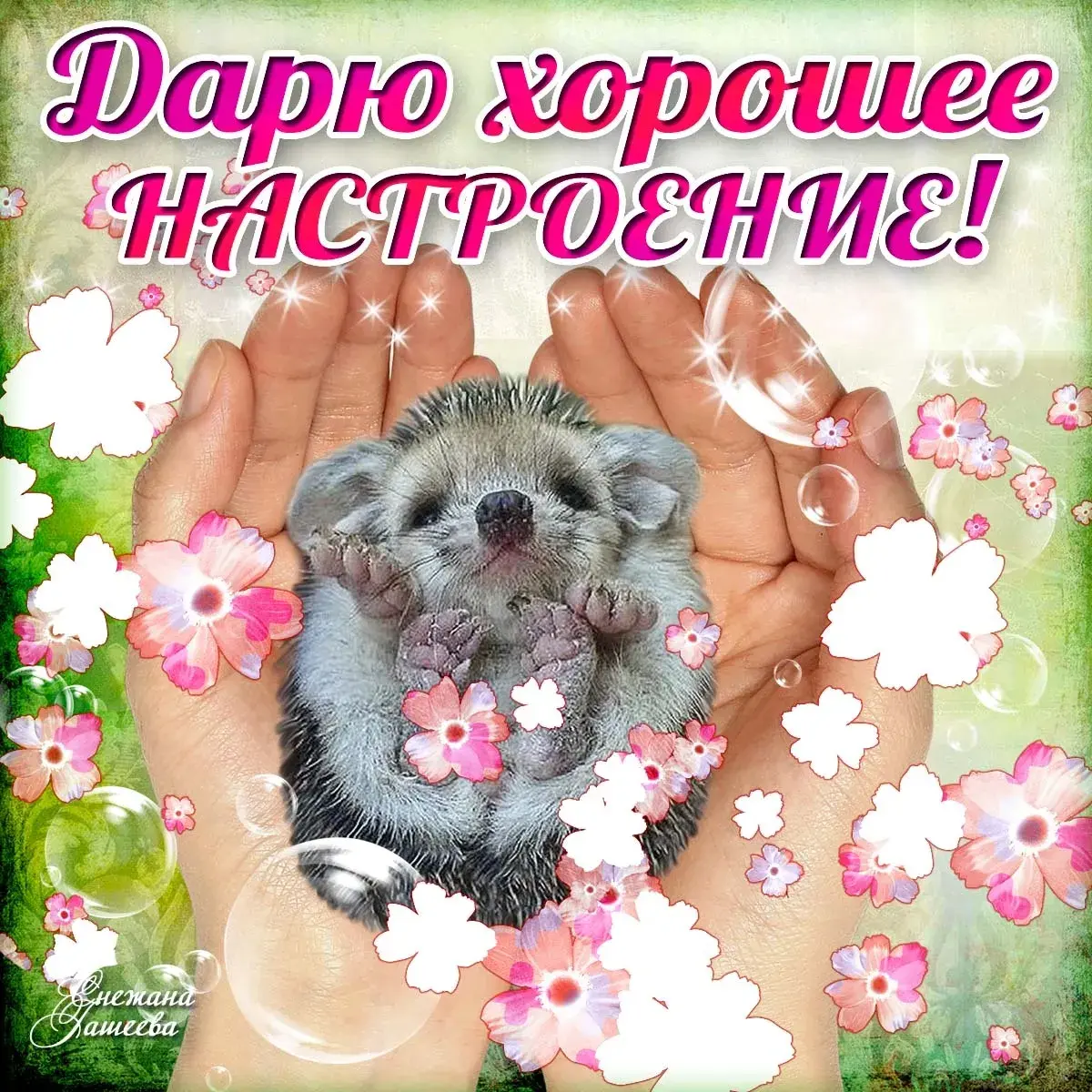 Открытка хорошего настроения - Нежная милая ежиха среди цветов | Красивая открытка #124